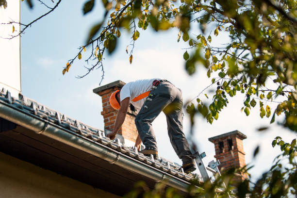 Roof Gutter Cleaning in Manistee, MI