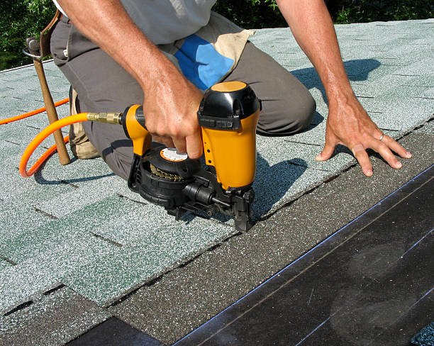 Best Storm Damage Roof Repair  in Manistee, MI