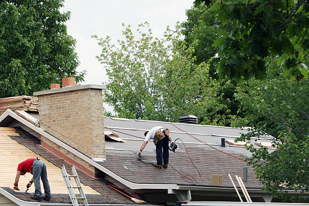 Best Roof Gutter Cleaning  in Manistee, MI
