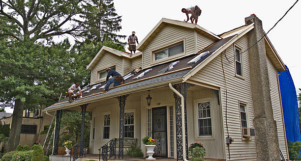Best Roof Repair Services  in Manistee, MI