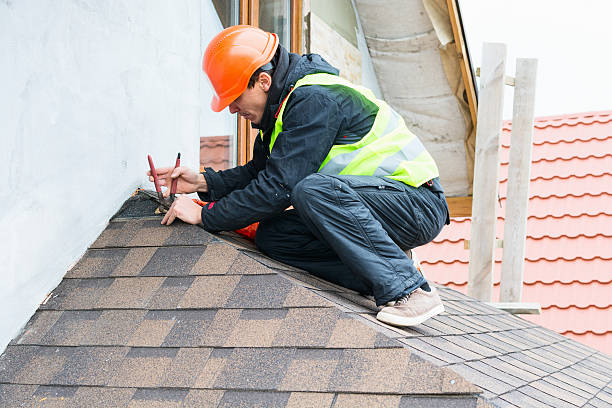 Best Metal Roofing Contractor  in Manistee, MI