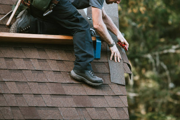 Best New Roof Installation  in Manistee, MI